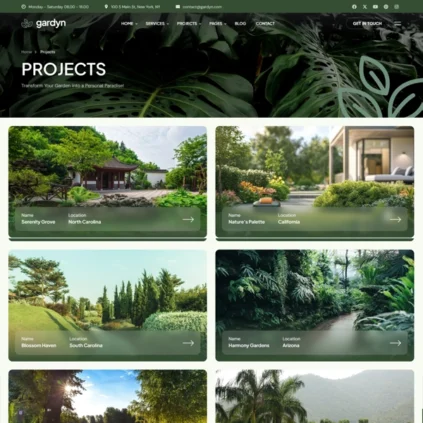 projects
